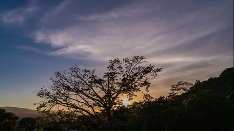 Time lapse of Colorful sunset behind a tree Stock Footage 124317799
