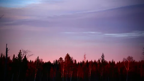 Time lapse of colorful sunset clouds over forest Stock Footage 151262054