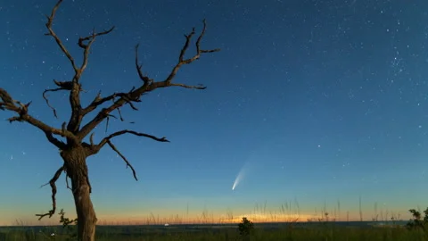 Time lapse of comet C/2020 F3 (NEOWISE), or Comet NEOWISE over a tree. Stock Footage 134940644