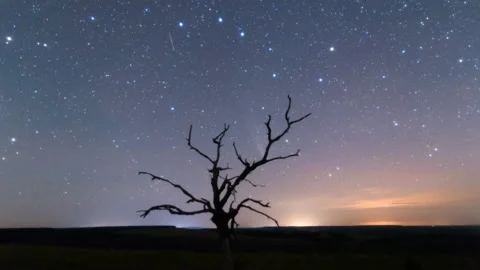 Time lapse of comet C/2020 F3 (NEOWISE), or Comet NEOWISE over a tree. Stock Footage 136431275
