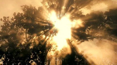 Time-lapse Concept of CO2 Absorption Video stock 629304