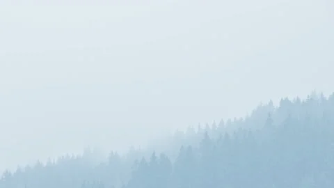 Time lapse of coniferous forest with mist, fog and low clouds in winter 스톡 동영상 137800138