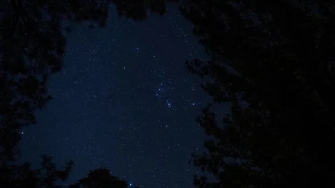 Time lapse of the constellation of Orion obove the trees in a forest Stock Footage 286248092