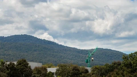 Time-lapse of Construction crane and building among the trees. Stock Footage 161790395