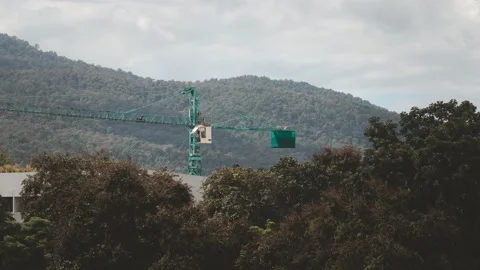 Time-lapse of Construction crane and building among the trees. Stock Footage 199922854