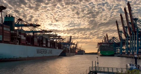 Time lapse of a container terminal in the port of Hamburg at sunset Stock Footage 203821570