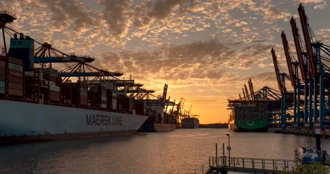 Time lapse of a container terminal in the port of Hamburg at sunset Stock Footage 203821574