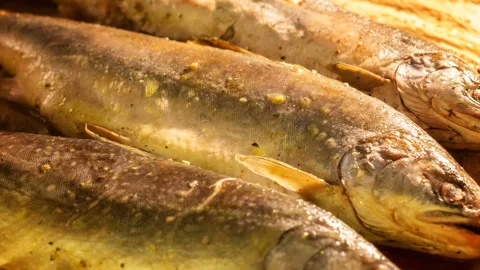 Time lapse cooking fish Stock Footage 114940225