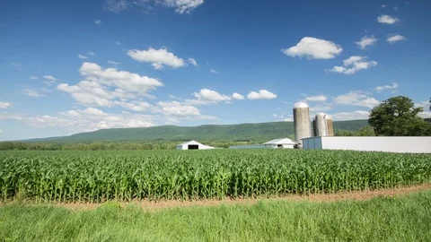 Time Lapse Corn Field and Farm Silos Stock Footage 89179790
