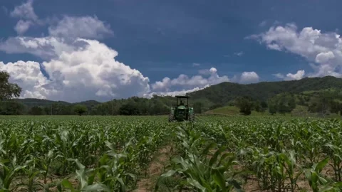 Time Lapse corn field with tractor Video stock 150472675