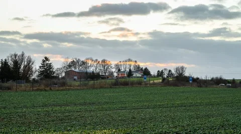 Time-lapse cornfield at germany with sky Stock Footage 61815460