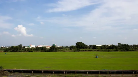 Time lapse cornfield rolling clouds Stock Footage 44073698