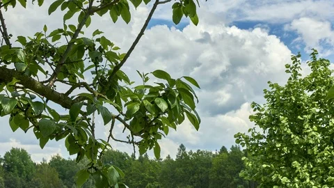 Time lapse in the countryside Stock Footage 108454049