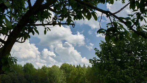 Time lapse in the countryside Video stock 108454118