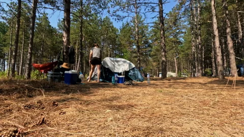 Time lapse couple packing tent and camping gear in forest campsite Video stock 335642840