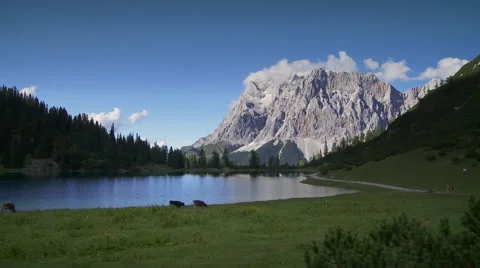 Time-lapse with cow's at a lake in summer Stock Footage 58632879