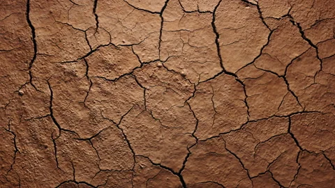 Time-lapse cracked soil, drying ground texture in desert. Cracks in soil Video stock 178665212