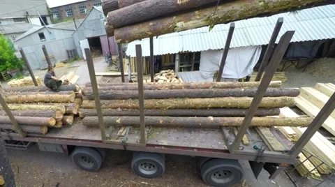 Time lapse. Crane unloads a timber truck. 库存影片 52004122