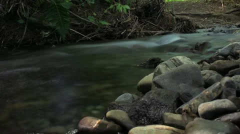 Time Lapse At A Creek Stock Footage 21833974