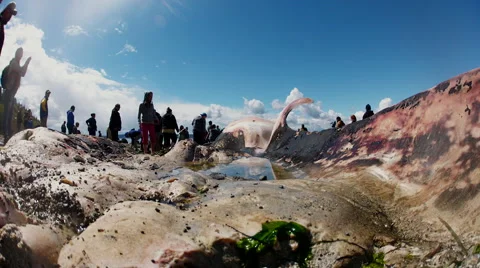 Time lapse of crowd of people at stranded whale Stock Footage 62841393