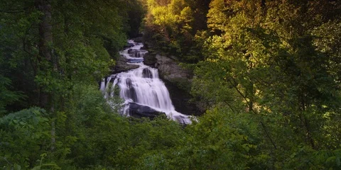 Time-lapse of Cullasaja Falls flowing through the rocks in the forest Stock Footage 103818704