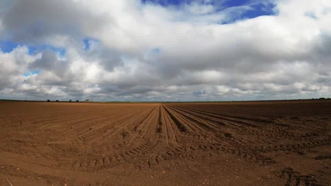 Time-Lapse of Cultivated Field Stock Footage 313364675