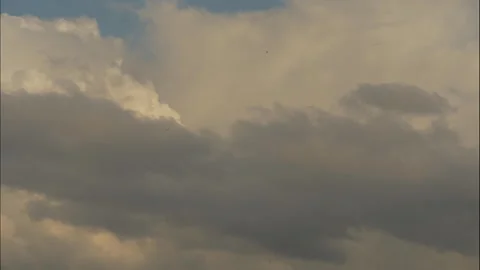 Time-lapse of cumulus and stratocumulus clouds shifting in sky Stock Footage 317542710