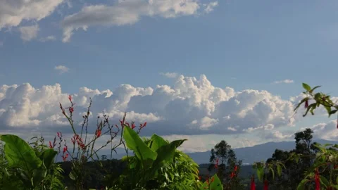 Time-lapse of cumulus clouds changing and moving in the horizon, over the wes Stock Footage 277365670