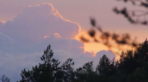 Time lapse of cumulus clouds forming Stock Footage 51032128