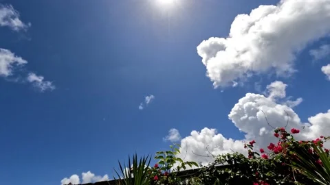 Time lapse of cumulus clouds rushing across the sky. Stock Footage 222563435