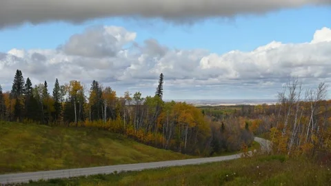 Time lapse of a curving highway through a bright yellow autumn aspen forest Stock Footage 140508567