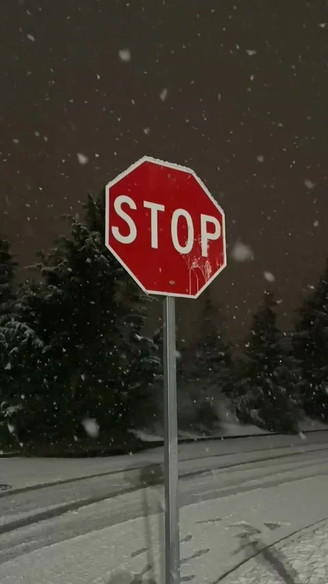 Time-lapse cutting video winter night landscape it's snowing snowfall Stock Footage 241004602