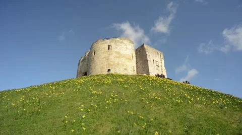 Time lapse of daffodils by cliffords tower york uk Stock Footage 48499812