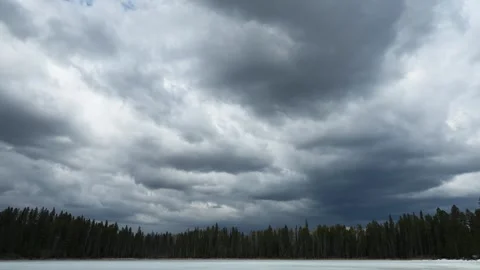 Time lapse of dark blue-gray colored clouds moving above a forest of evergreen Stock Footage 274503441