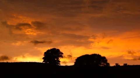 Time lapse of dark clouds behind a tree as the sun sets. Stock Footage 105000268