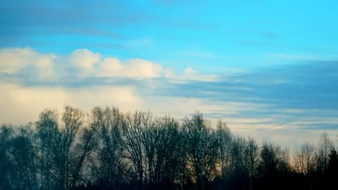 Time-lapse of Dark Clouds Over Forest 動画素材 125463518