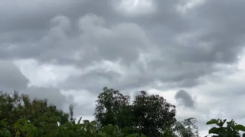 (time-lapse) Dark Clouds Over Tropical Trees Before Rain Stock Footage 309509502