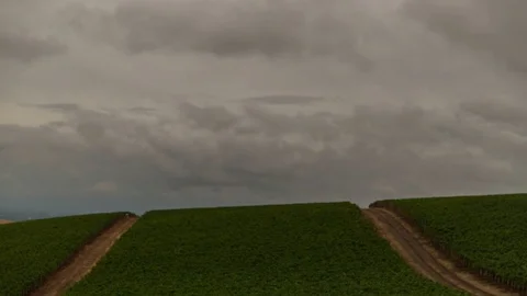 Time-lapse of dark clouds rolling over the vineyards Video stock 83864038