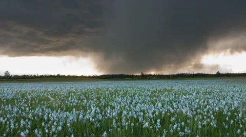 Time-lapse of dark storm clouds moving across Weippe Prarie, Idaho Vidéo 68623424