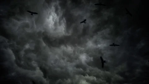 Time Lapse Of Dark Storm Clouds and Birds Stock-Footage 83667635
