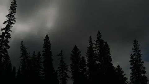 Time lapse of dark storm clouds about a forest of silhouetted spruce trees Stock Footage 317325275