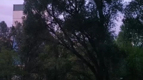 Time-lapse darkens Stock Footage 143312842