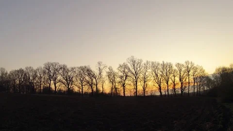 Time-lapse. The dawn through the trees in the spring Stock Footage 74574968
