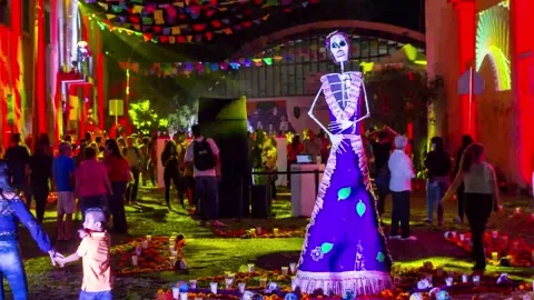 Time Lapse in day of the dead with catrina Video stock 150705945
