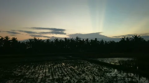 Time lapse day to night. Clouds run on blue sky over rice field palm trees, Bali Stock Footage 141122356