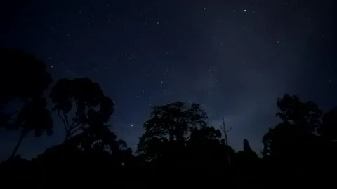 Time-lapse of Day to Night of starry night in forest Stock Footage 158466995
