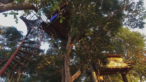 Time lapse day to night stay pov in tree house accommodation hostel in Eco .. Stock Footage 280691603