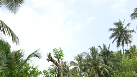 Time-lapse of a day time clouds Stock Footage 326987993