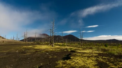 Time Lapse. Dead forest. "Helicopter" Tourist parking. Kamchatka, Russia. Stock-Footage 68563219
