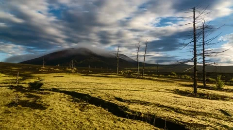 Time Lapse. Dead forest. "Helicopter" Tourist parking. Kamchatka, Russia. Stock Footage 68578894